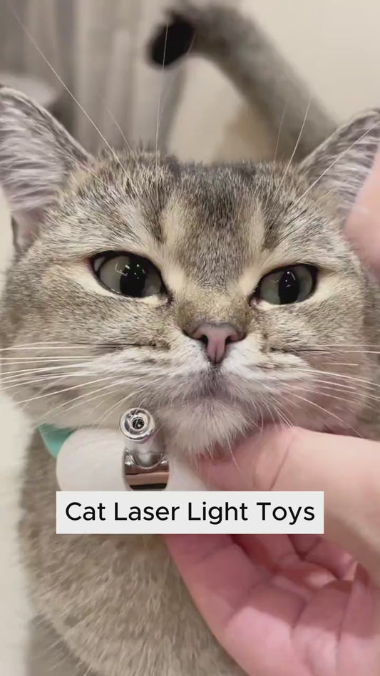 Wearable Automatic Cat Toys with LED Lights